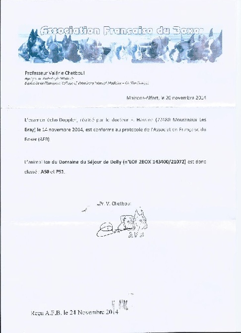 Du Jardin Des Canailloux - RESULTAT CARDIOPATHIE DE ICE