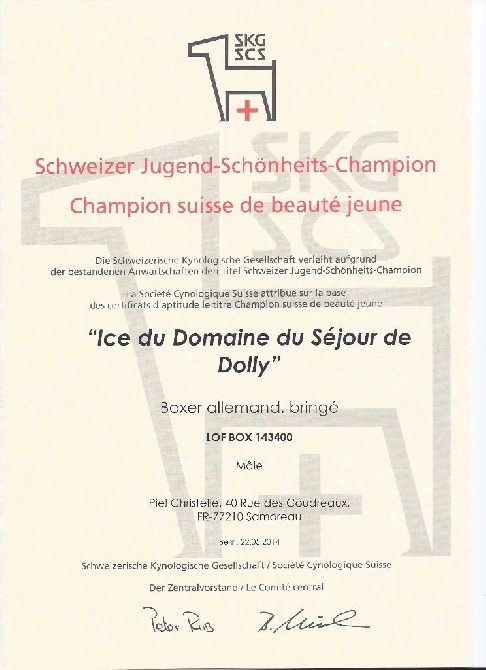 Du Jardin Des Canailloux - 1er TITRE DE CHAMPION